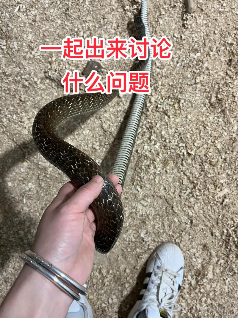 澳门6合开奖结果和央视曝光云养殖骗局与央视曝光云养殖骗局是真的吗