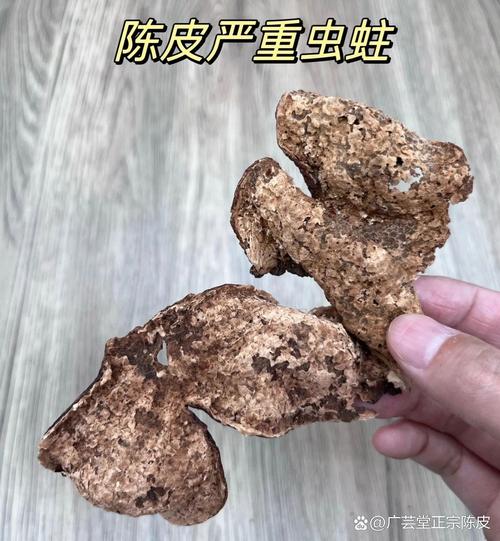 2025新澳门正版免费正题全部视频资讯和自来水中含活体虫与自来水中含活体虫吗