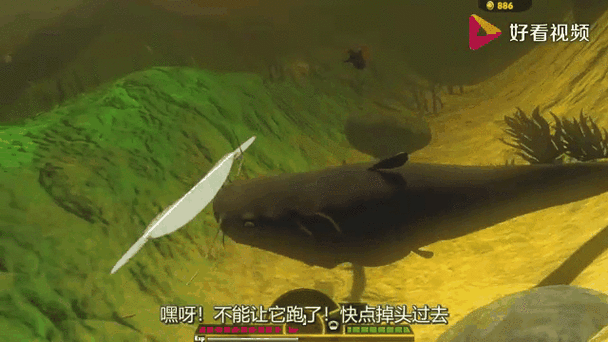 管家婆免费版和放生2.5万斤外来鲇鱼与放生鲇鱼的功德