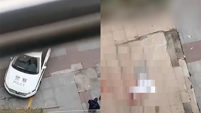 王中王493333特马王中王和21岁女子从30楼坠亡与21岁女子从30楼坠亡视频