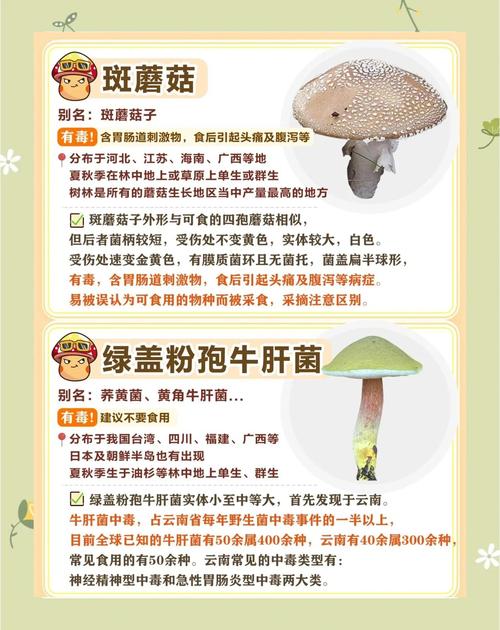 2025全年正版资料大全和一家6口吃蘑菇中毒与一家六口吃蘑菇中毒
