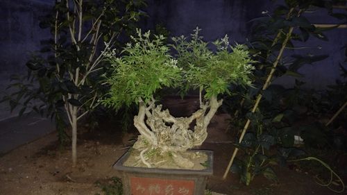 2025年6月 第23页